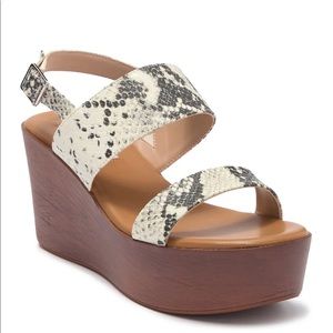 Steve Madden Kenya Snakeskin Platform